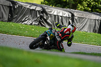 cadwell-no-limits-trackday;cadwell-park;cadwell-park-photographs;cadwell-trackday-photographs;enduro-digital-images;event-digital-images;eventdigitalimages;no-limits-trackdays;peter-wileman-photography;racing-digital-images;trackday-digital-images;trackday-photos